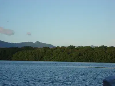 The Swamp and Red Ibiz